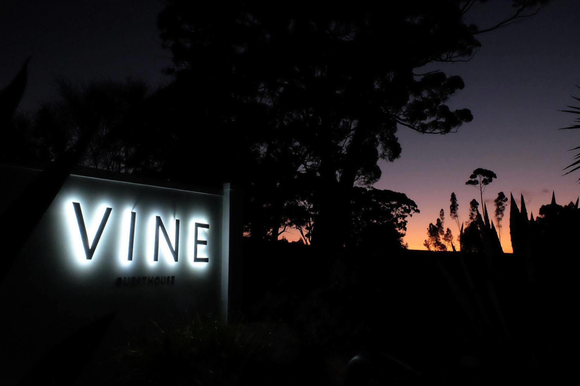 Vine *