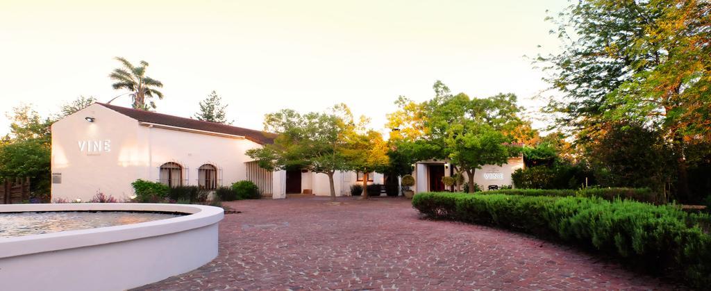 Landhuis Vine Stellenbosch