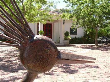 Vine * Stellenbosch