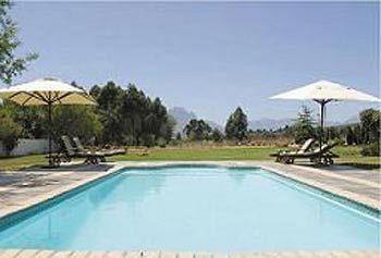 Vine Stellenbosch