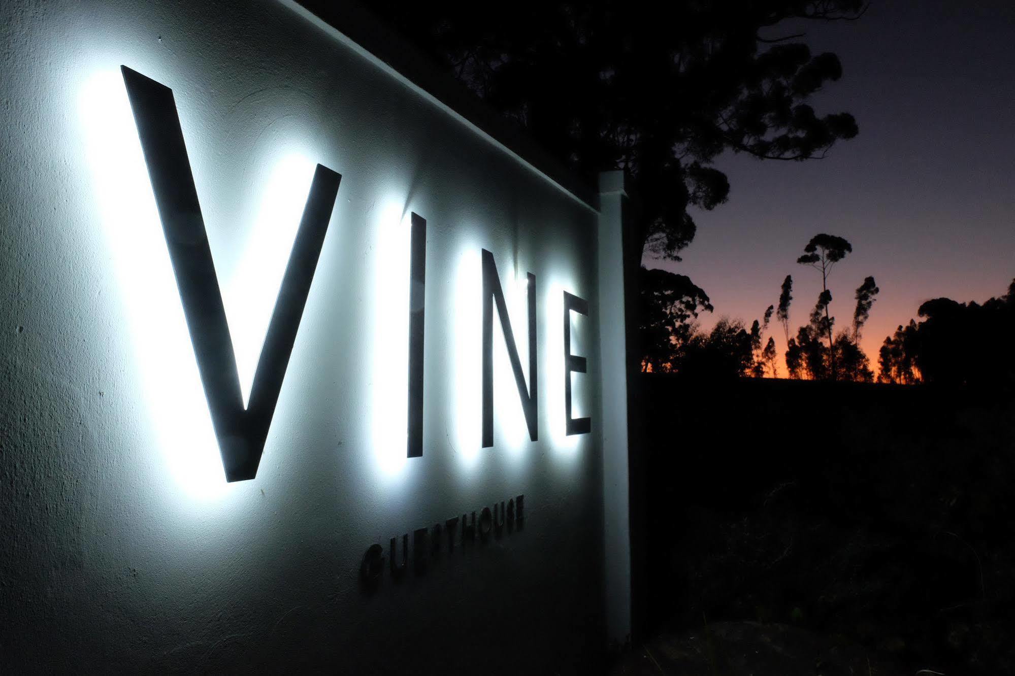 Vine * Stellenbosch