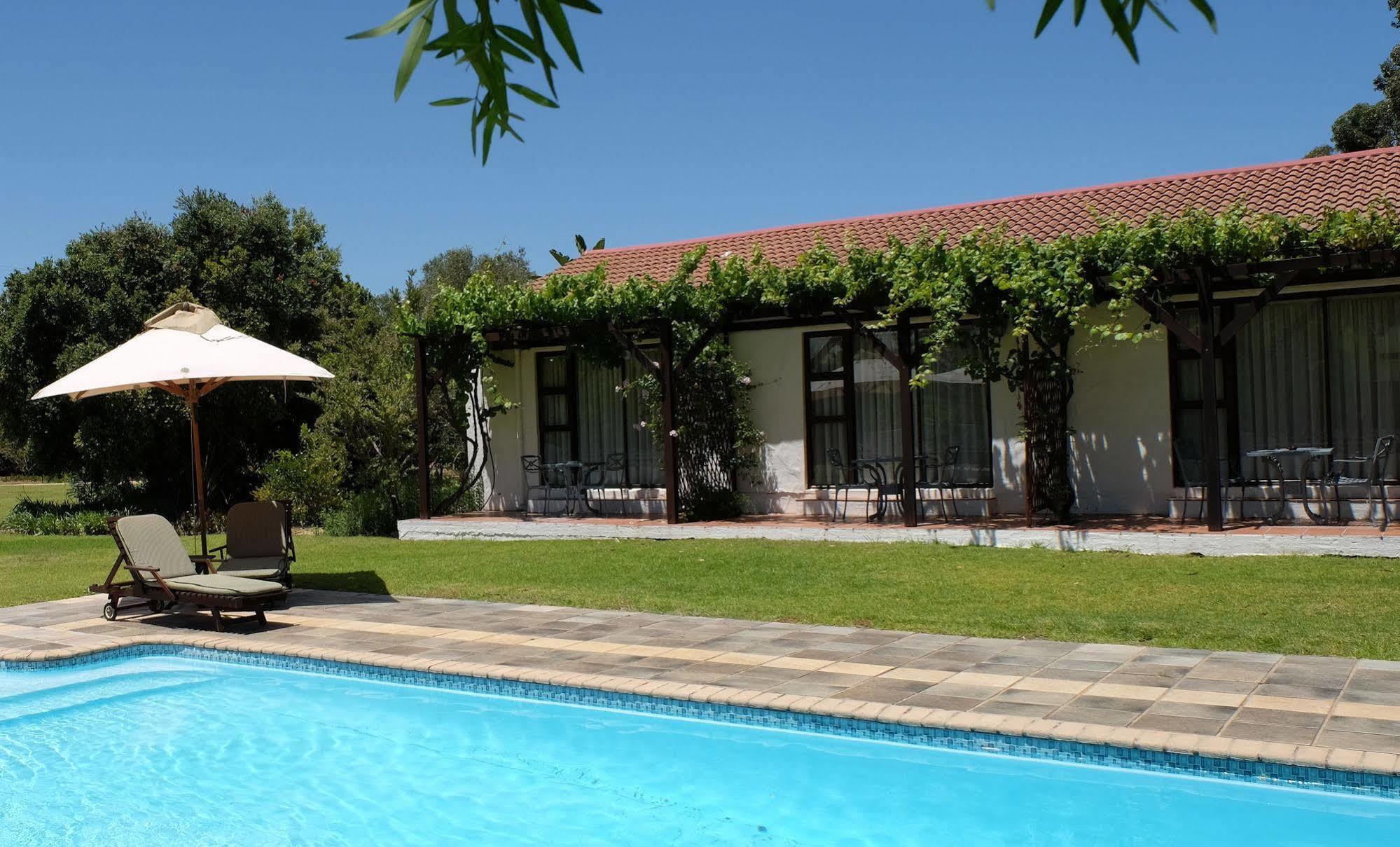Vine * Stellenbosch