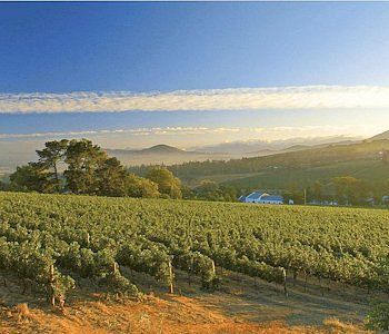 Vine Landhuis Stellenbosch